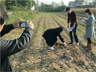  土壤檢測分析儀器